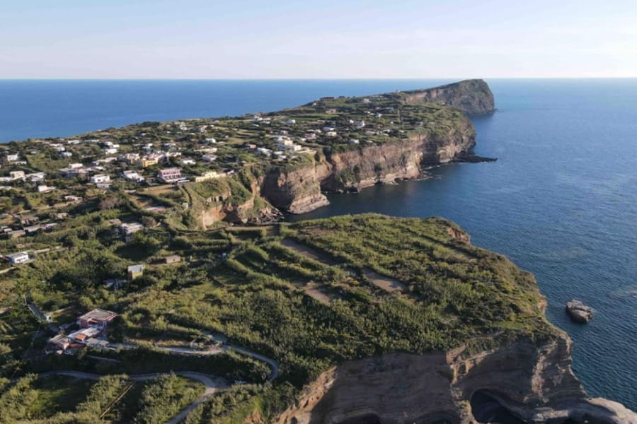 L’Agricoltura non ISOLA: percorsi di inclusione socio-lavorativa a Ventotene